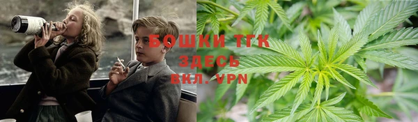 Альфа ПВП Бугульма