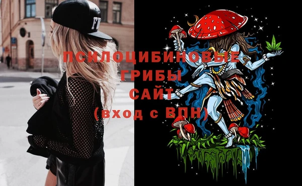 а пвп мука Бородино