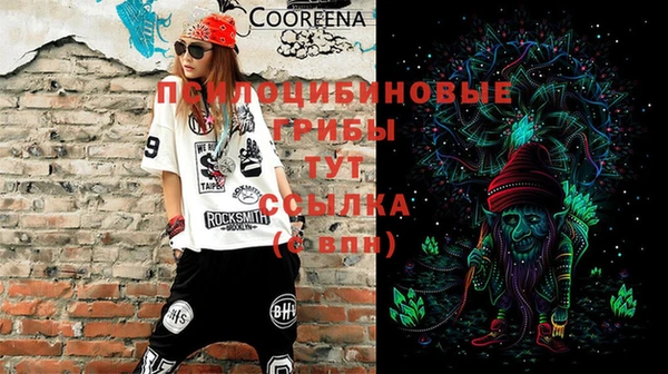 а пвп мука Бородино